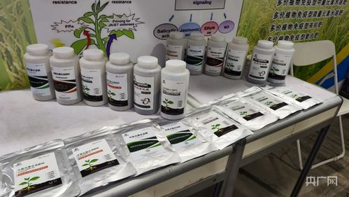 山东寿光 跟着记者逛菜博 共赴一场 新奇 蔬菜之旅