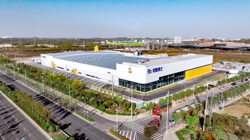 摔断腿后去创业,第二年卖了10个亿