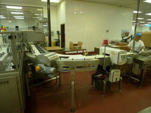 美西七日经典游 畅游拉斯维加斯、巧克力工厂与仙人掌公园的科技与自然之旅