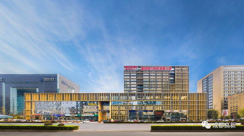 西部首个国家自主创新示范区地方性法规出台 56条新政助力成都高新区发挥优势，博力西科技添动力